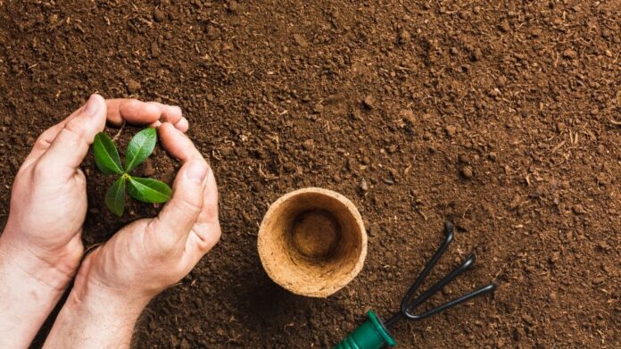 Gardening