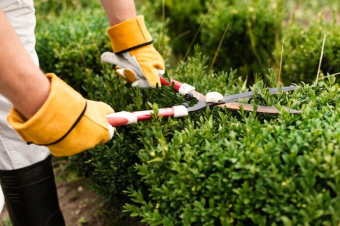Gardening