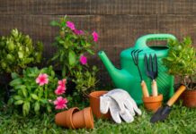 Locating Your ‘Garden of Eden’ Gardening