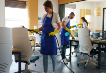 Find the best in cleanliness: the best cleaning services in New Zealand and professional home cleaners in Napier