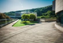 Custom Driveway Options That Go Beyond Plain Concrete