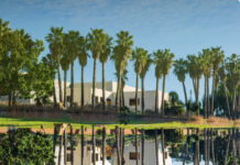 The Renaissance of Island Living: How a Leading Real Estate Company in Abu Dhabi is Reshaping Urban Luxury