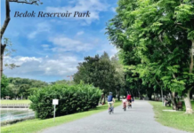 Redefining City Homes Through Well-Executed Urban Housing Solutions