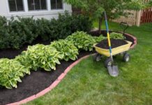 Why Garden Mulch in Gold Coast is a Game-Changer for Your Outdoor Space